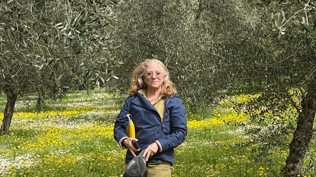 Olio le Masse 