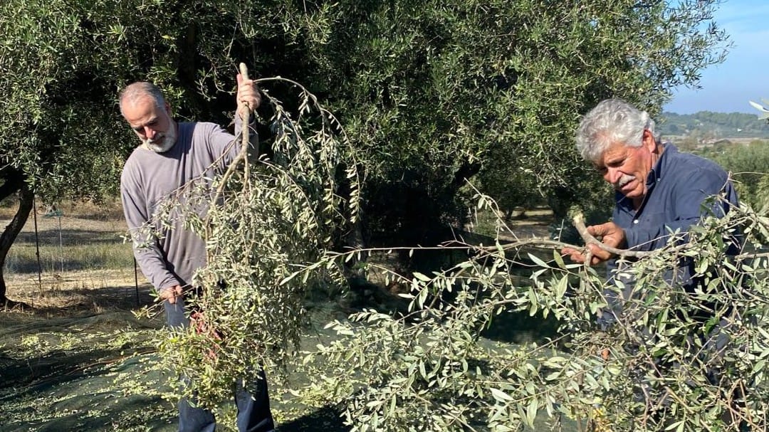 Oïkos Antalis Cuvée Agios Ilias