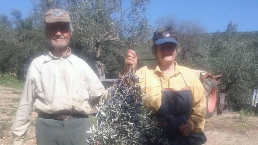 Fi Olive Oil Blend