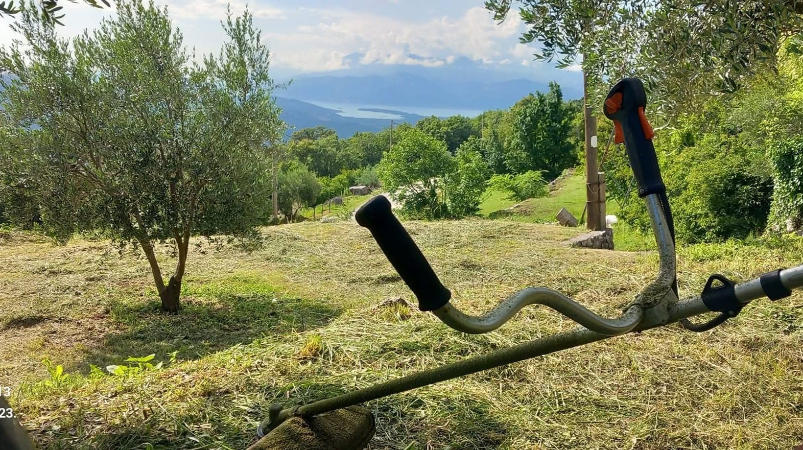 Vujadinović Blend