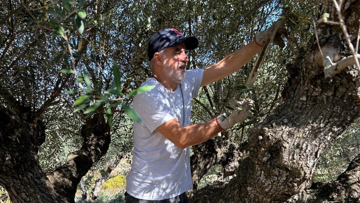 Oïkos Antalis Cuvée Agios Ilias